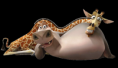 /album/figurak-2/madagaszkarb4db-png/